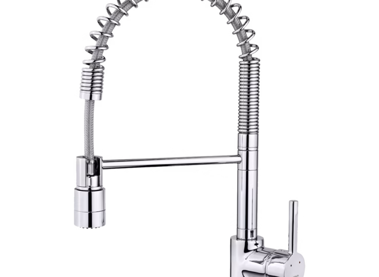 Grifo de cocina monomando profesional con caño giratorio