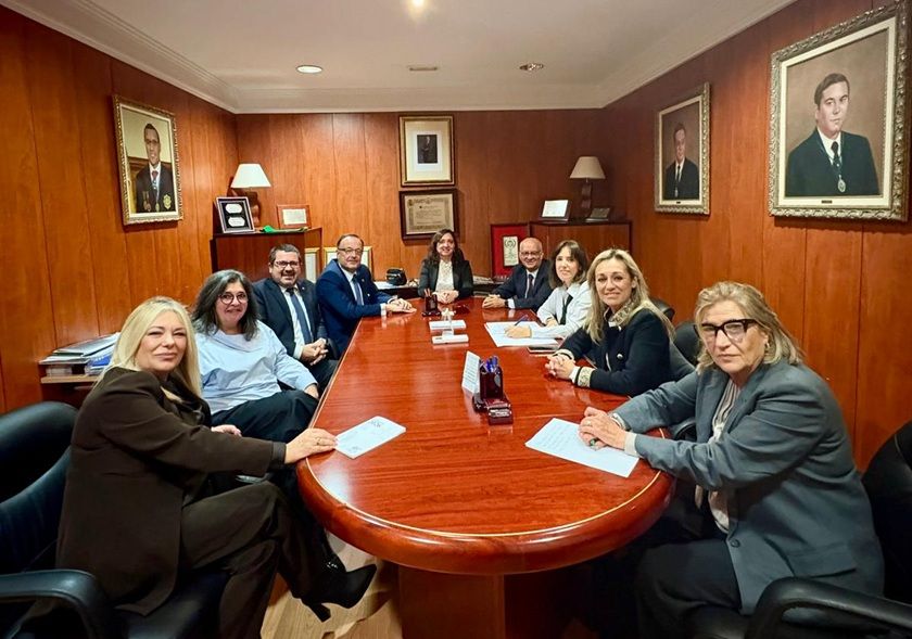EL CONSEJO GENERAL PRESENTA SUS LÍNEAS ESTRATÉGICAS ANTE LA JUNTA DE GOBIERNO DEL COLEGIO DE GRANADA