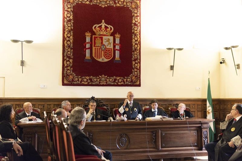 CELEBRADO EN GRANADA EL ACTO DE JURA O PROMESA DEL PLENO DEL CONSEJO ANDALUZ DE GRADUADOS SOCIALES