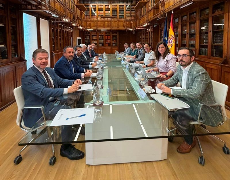 ABOGACÍA ESPAÑOLA, PROCURADORES Y GRADUADOS SOCIALES TRASLADAN AL MINISTERIO DE JUSTICIA LOS PROBLEMAS EN LA IMPLANTACIÓN DE LOS TRIBUNALES DE INSTANCIA 