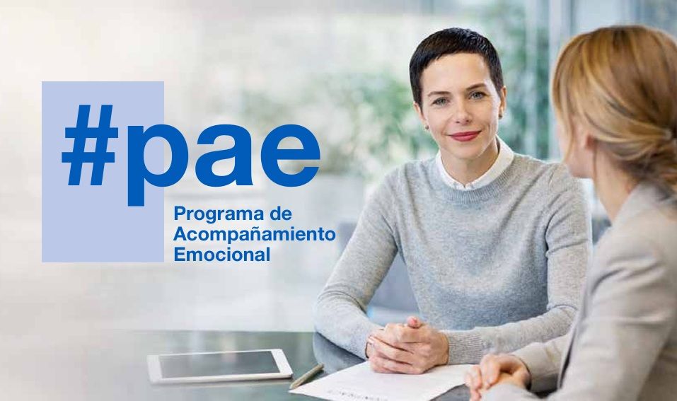 Quienes Somos