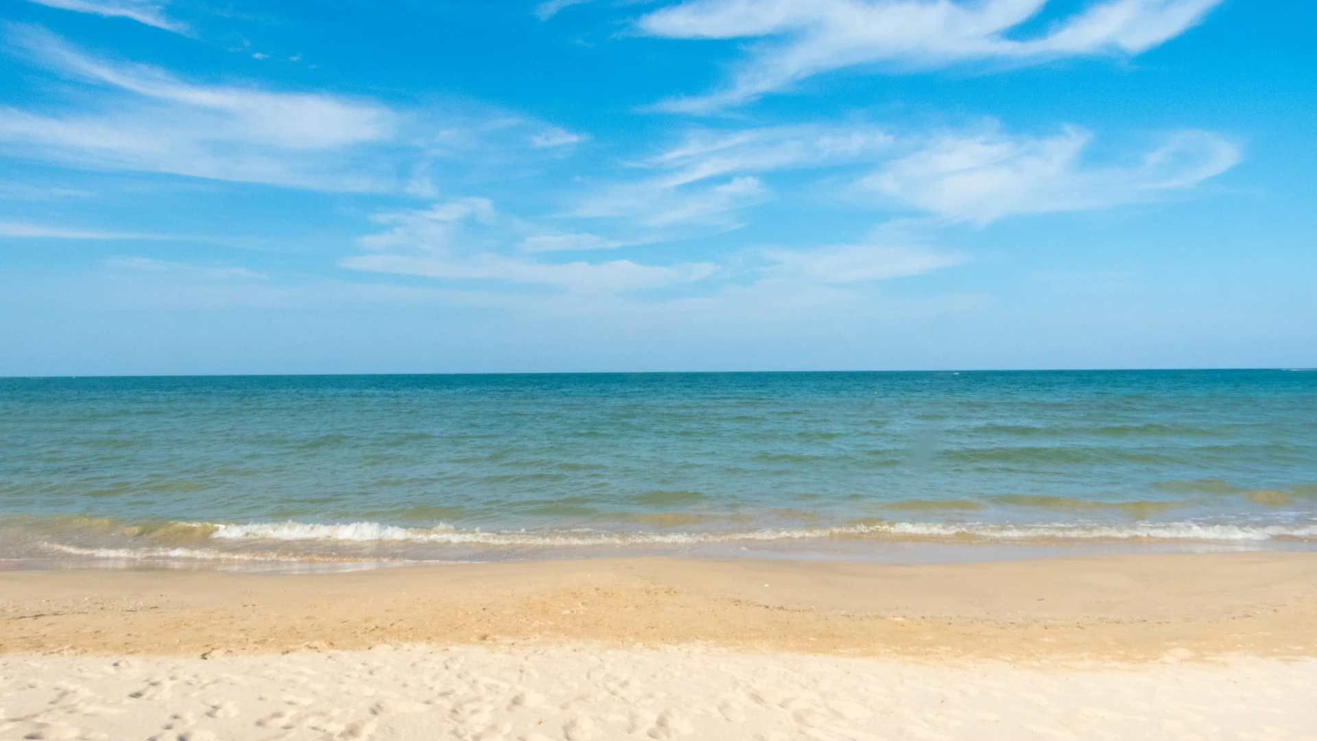 Praias do Seixal e do Barreiro retomam atividade após limpeza de derrame