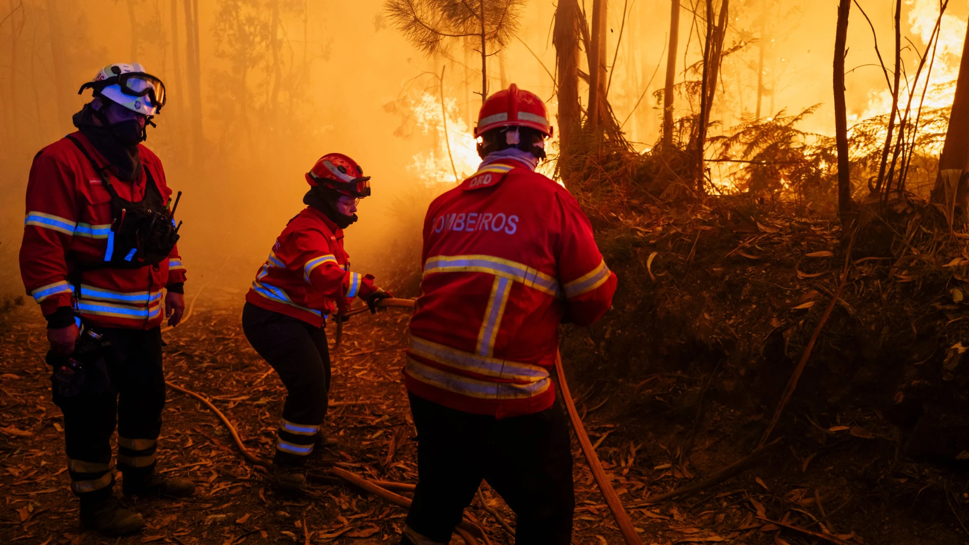 Incêndio em Sabrosa com três frentes faz mobilizar 120 operacionais e seis aviões