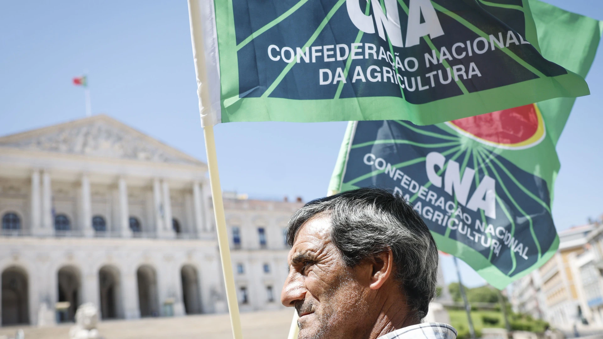 Viticultores do Douro apresentam exigências ao governo