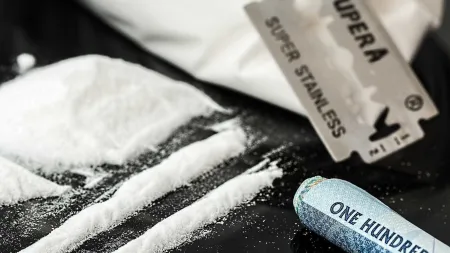 Oito indivíduos em prisão preventiva por tráfico de droga em Aljustrel e Alcácer do Sal