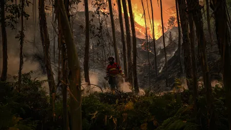 Incêndio em Pampilhosa da Serra mobiliza quase 200 operacionais