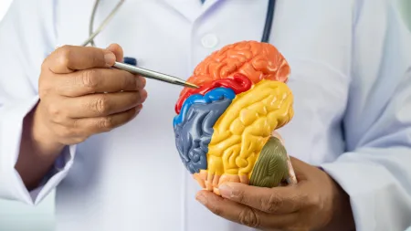 Alimentos ricos em colina podem ser aliados na prevenção do Alzheimer
