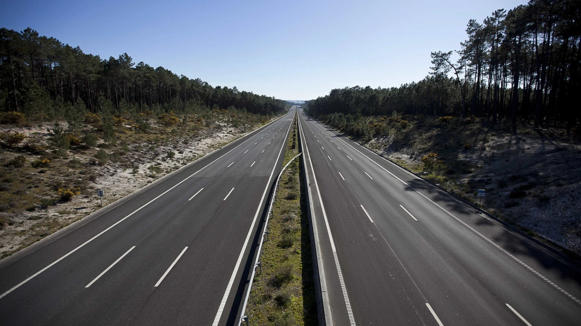 Número de mortes nas estradas em Portugal em 2024 revela tendência positiva
