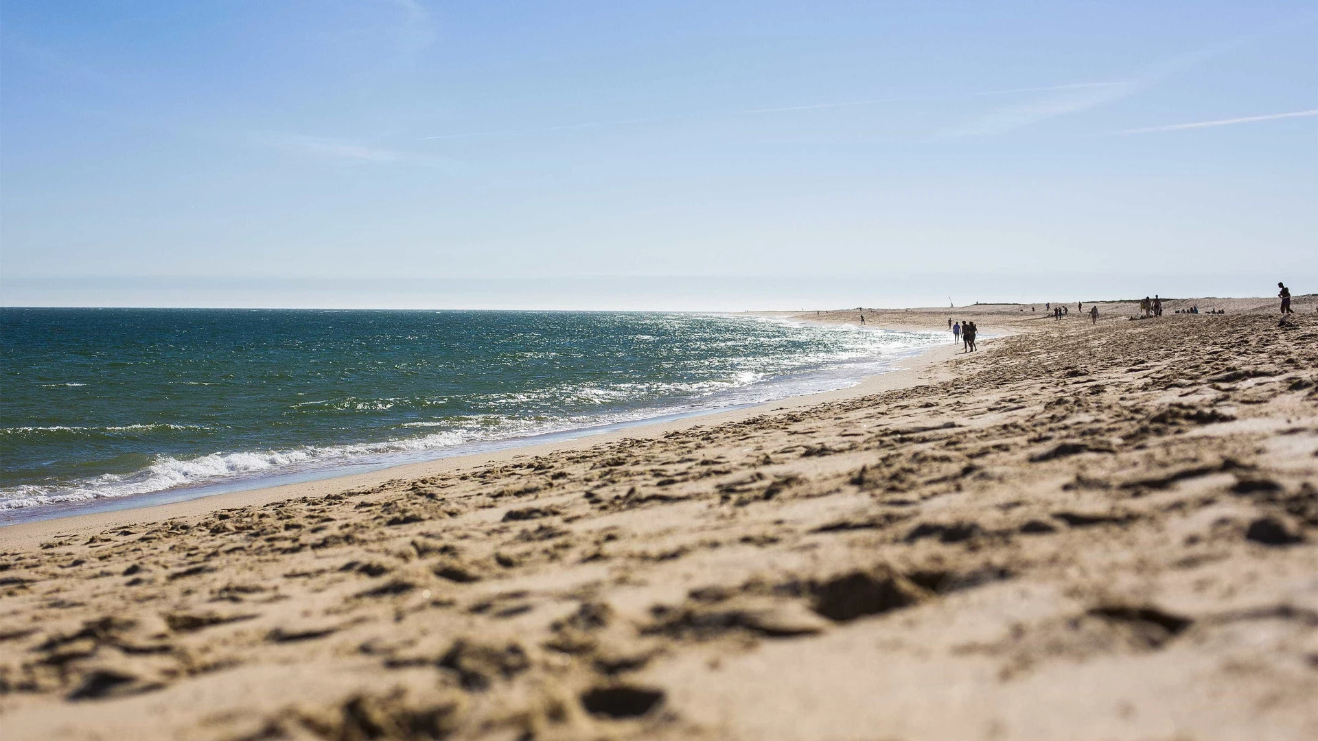 Praia da Vieira interditada a banhos devido a contaminação
