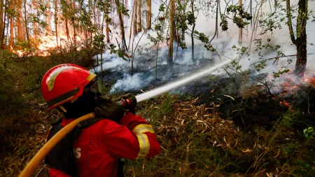 Incêndio em Sabrosa reativa-se numa zona de difícil acesso