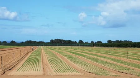 Câmara Municipal de Ferreira do Alentejo alerta para aumento de furtos agrícolas