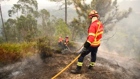 Incêndio em Sabrosa sob controlo após reativação
