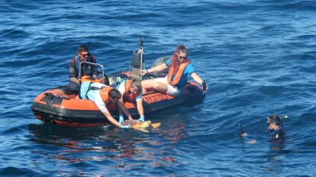 Tartaruga resgatada e devolvida ao mar após recuperação de ingestão de plásticos