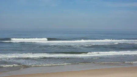 Praia da Vieira reabre a banhos após garantias de qualidade da água