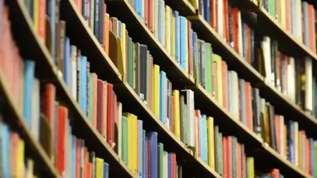 CDU solicita ações para atenuar impactos do encerramento da Biblioteca Municipal do Porto
