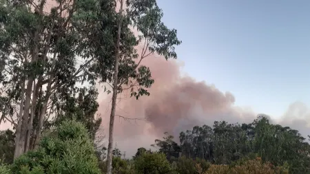 Idoso detido após provocar incêndio junto a estrada para se aquecer