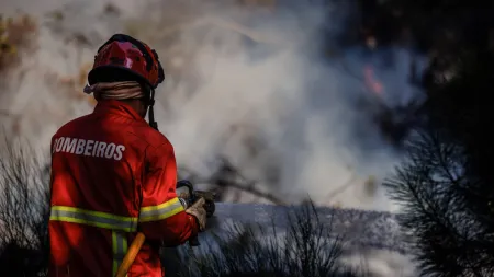 Combate Rápido ao Incêndio em Alcanede Mobiliza Mais de 160 Operacionais