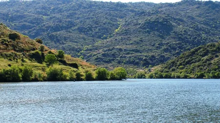 Tragédia no Rio Douro: Canadiano perde a vida após colapso cardíaco