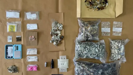Boom Festival: Novas detenções em operação contra tráfico de droga