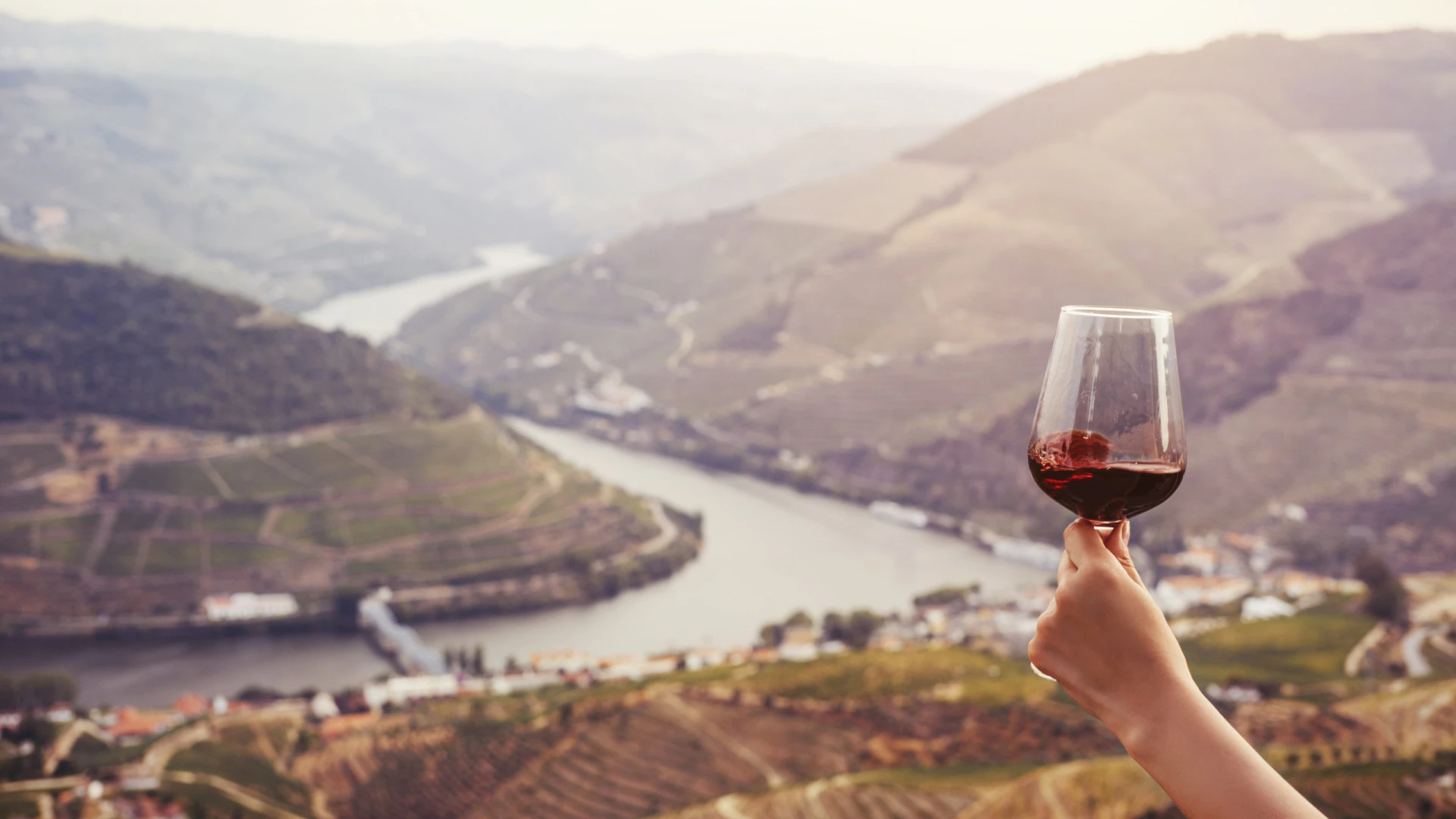 CNA e AVADouriense pedem medidas urgentes frente ao corte na produção de vinho do Porto