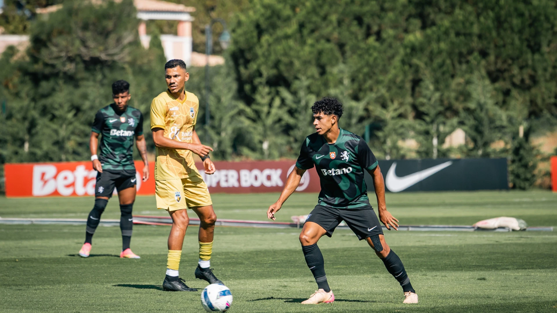 Sporting empata com Farense antes do embate com o Sunderland