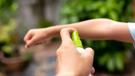 Cuidados essenciais contra picadas de mosquitos no verão