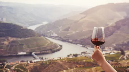 CNA e AVADouriense pedem medidas urgentes frente ao corte na produção de vinho do Porto