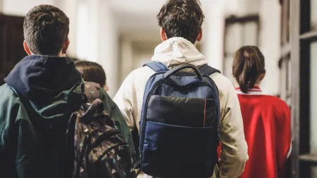 Educação para a Cidadania sem Sexualidade: Críticas à Nova Estratégia Governamental