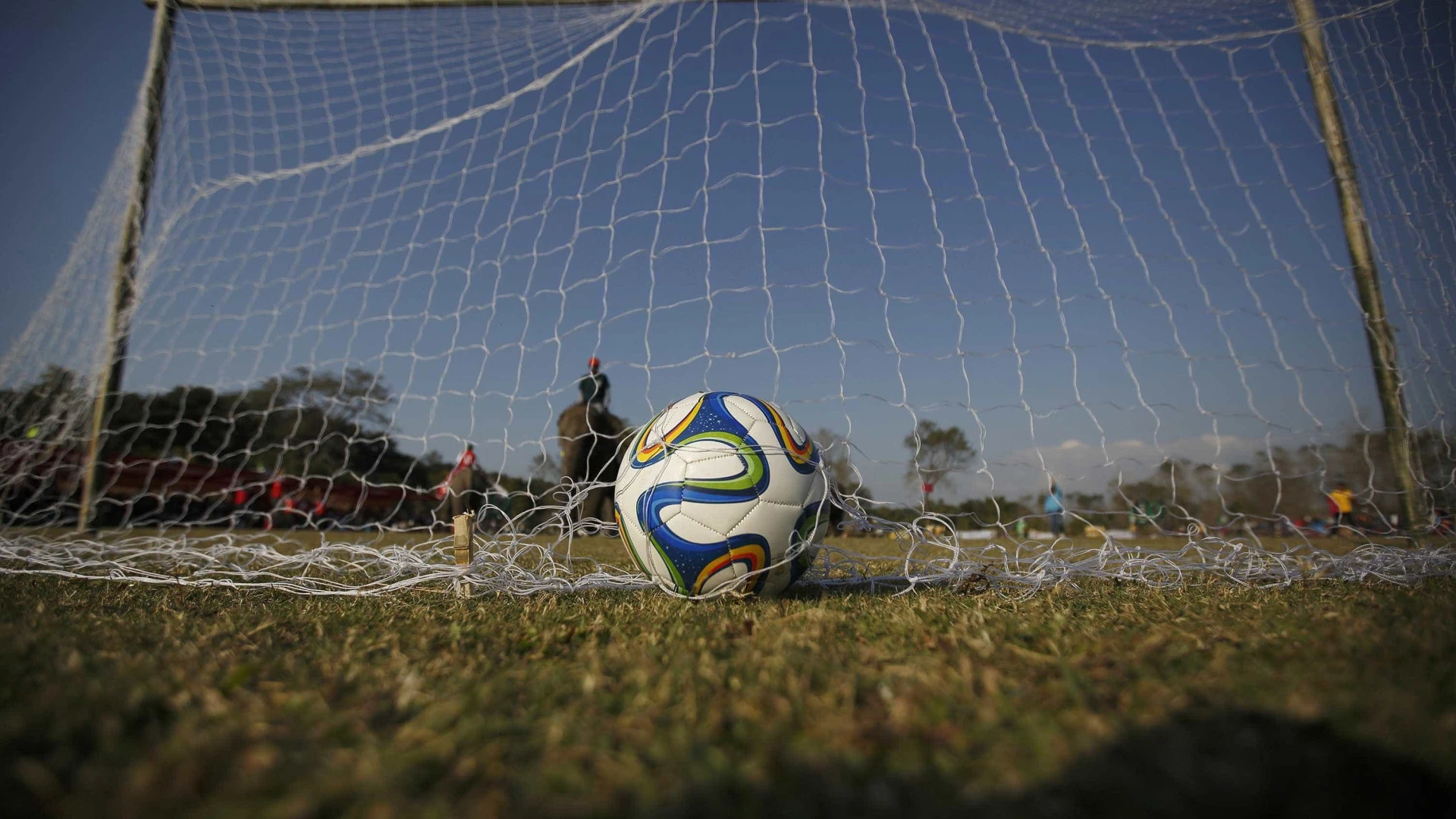Nova plataforma de Ligas femininas surge para proteger os interesses do futebol feminino