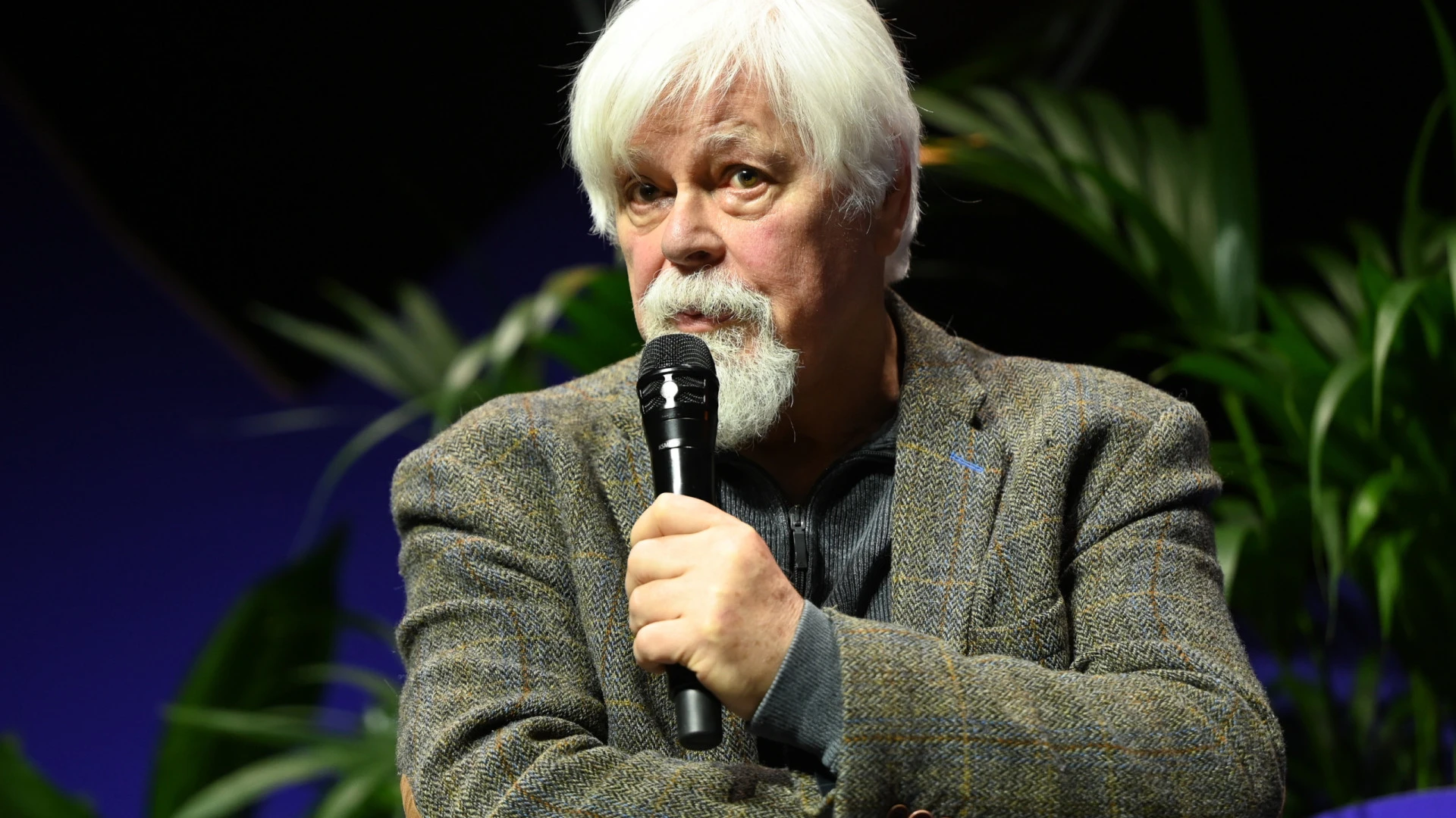 Interpol revoga "alerta vermelho" contra Paul Watson, co-fundador da Greenpeace