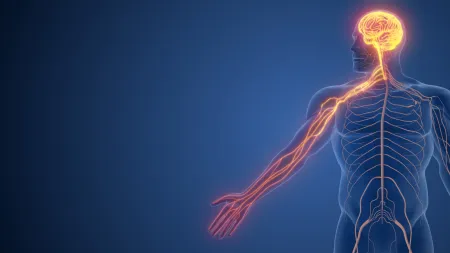 Impacto do Ritmo Circadiano em Pacientes com Doença de Machado-Joseph