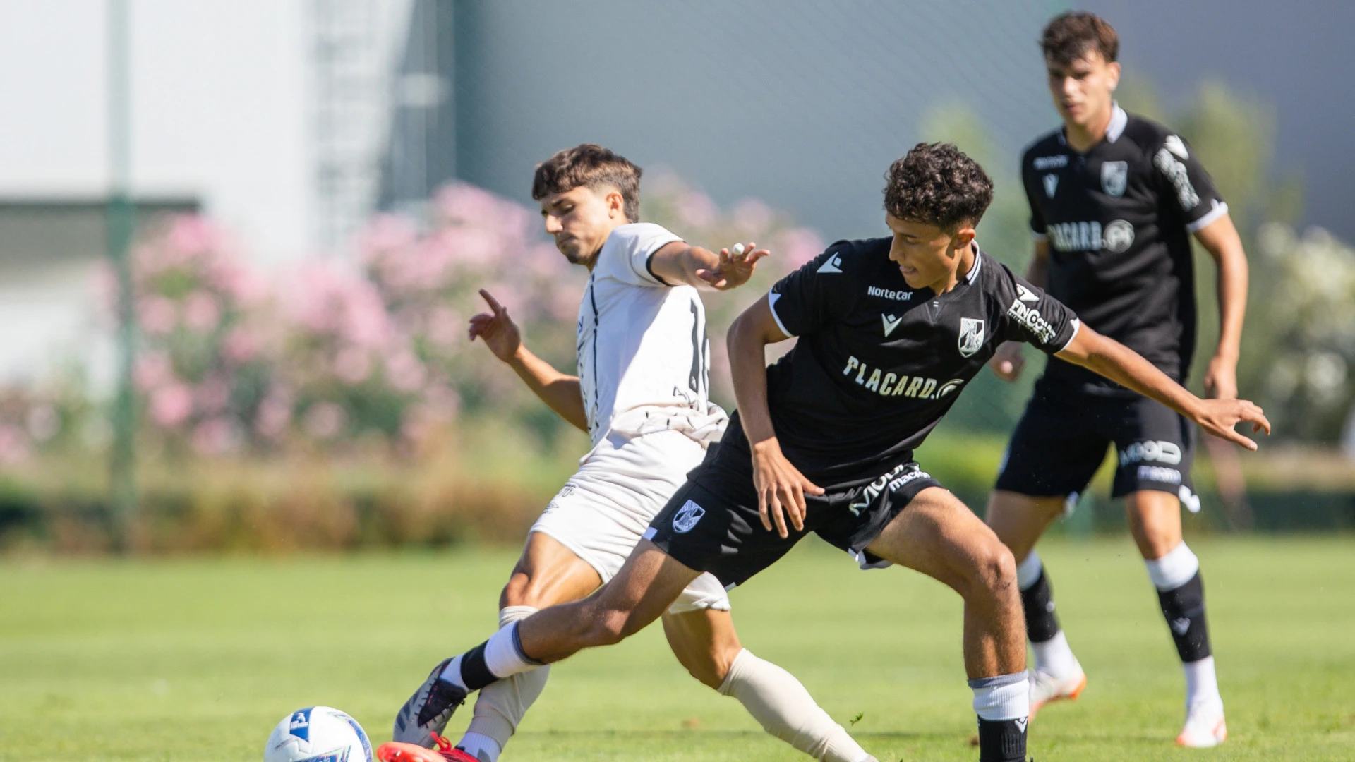 Vitória leva a melhor em jogo de preparação contra Portimonense com golos de novidades