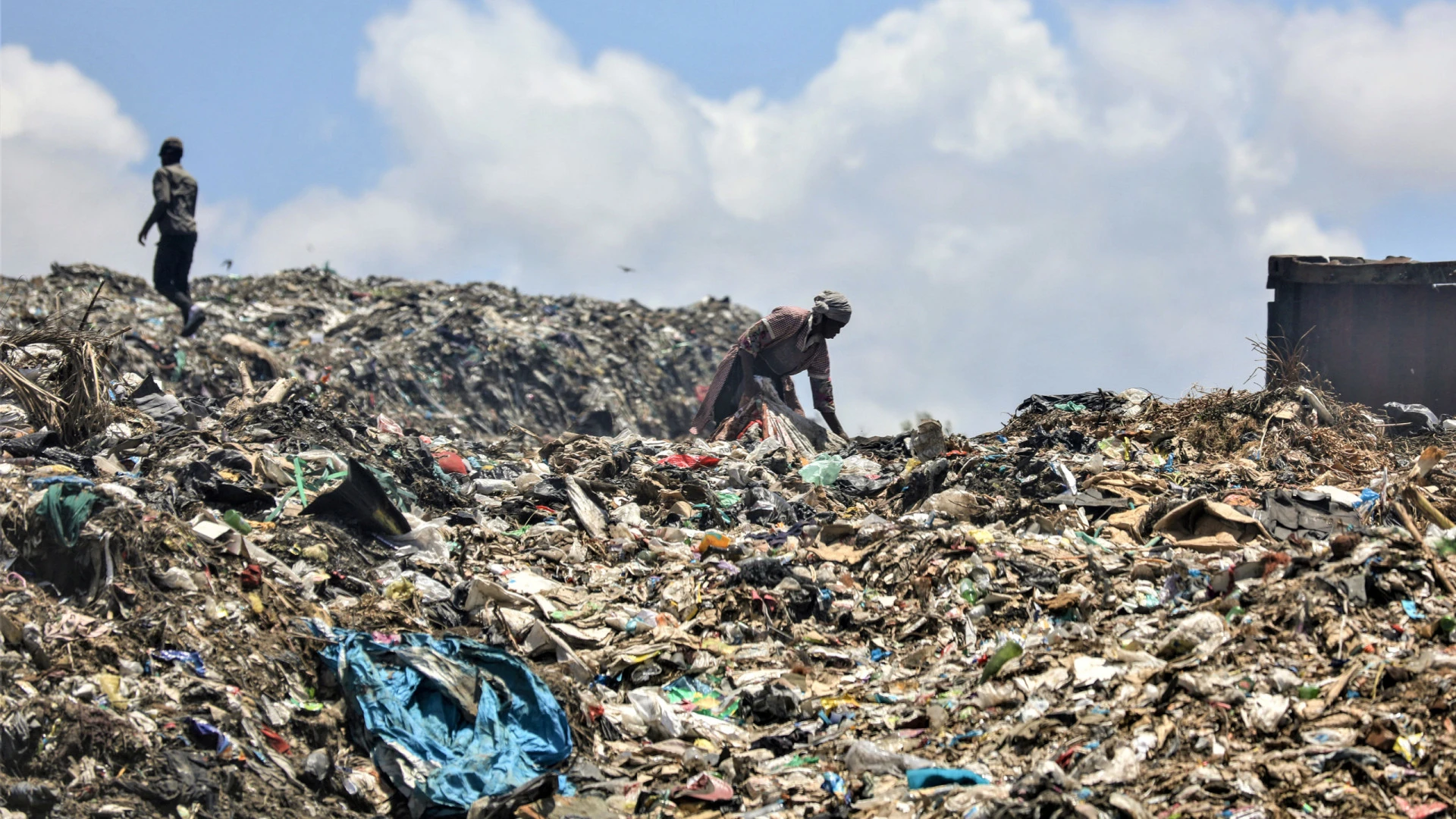 Emergência Alimentar em Moçambique: 144 mil Pessoas em Necessidade