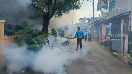 Chikungunya: Um surto preocupante no sudeste da China