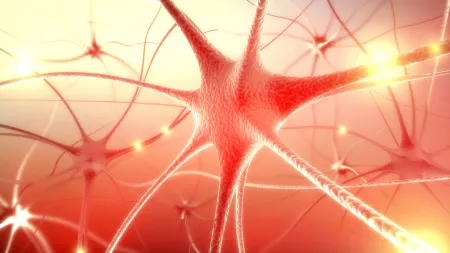 A nova face da dopamina: sinais precisos na complexidade cerebral