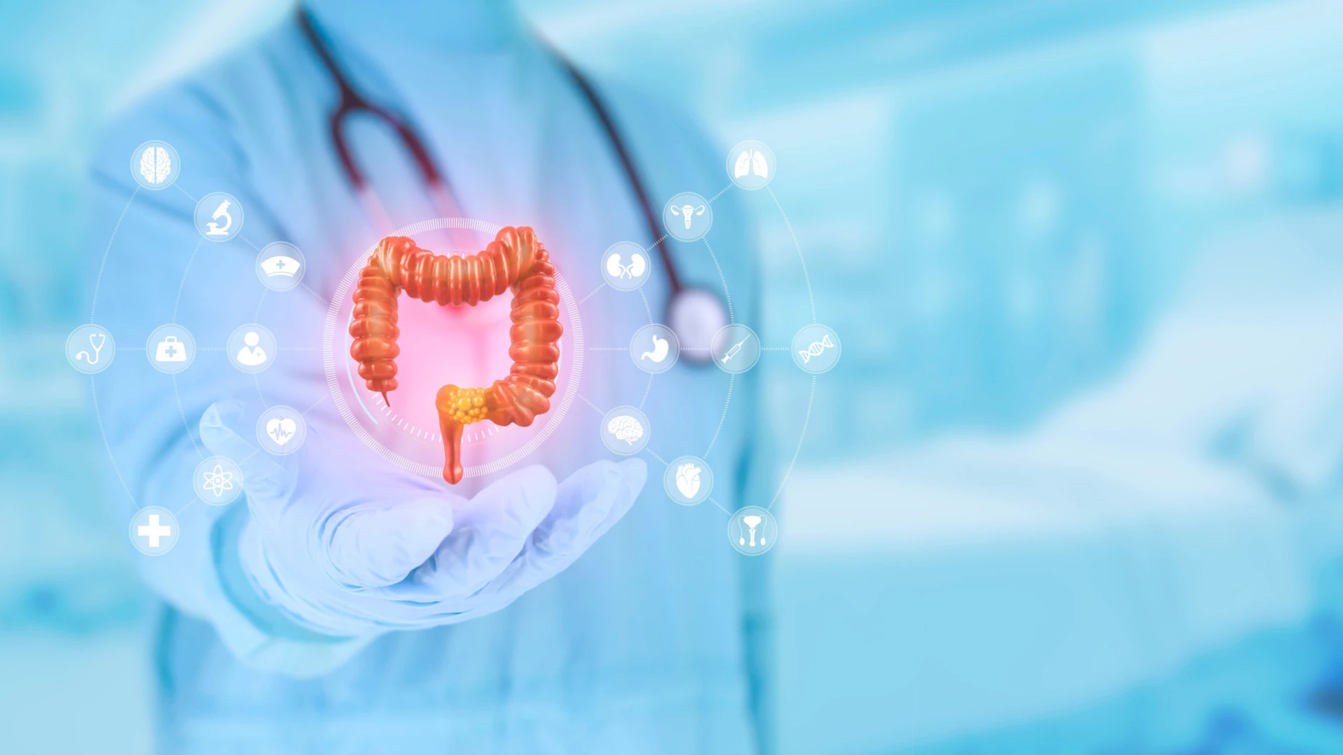 Descoberta de um novo sentido: a ligação entre intestino e cérebro