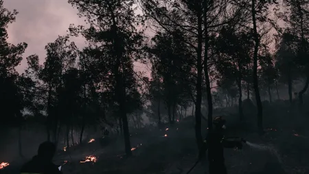 Incêndio devastador no Peloponeso já consumiu mais de mil hectares