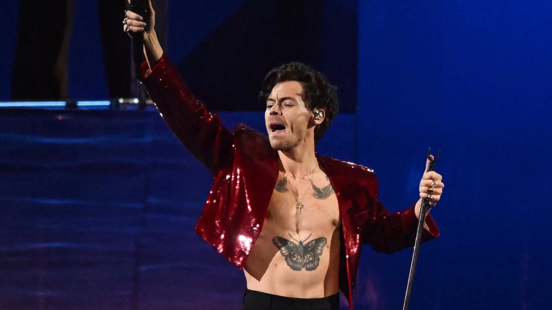 Harry Styles apresenta nova linha de produtos sexuais com foco no bem-estar
