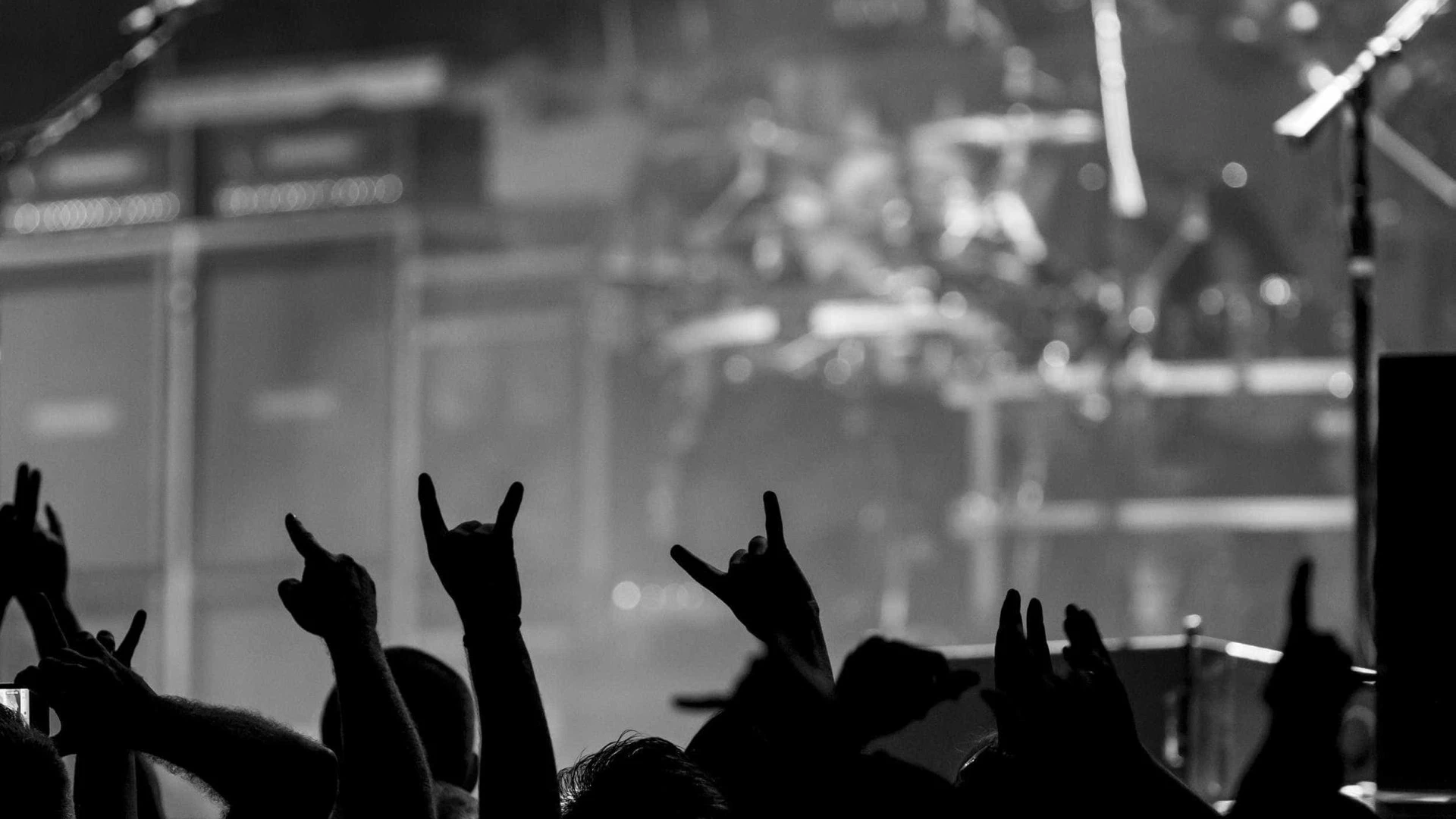 Rock NO Rio Febras: De Festa Local a Festival Nacional em Ascensão