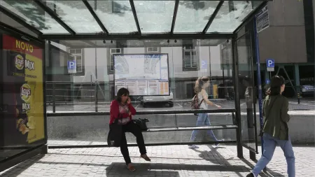 Aumenta o descontentamento com os transportes: infestação de baratas preocupa passageiros