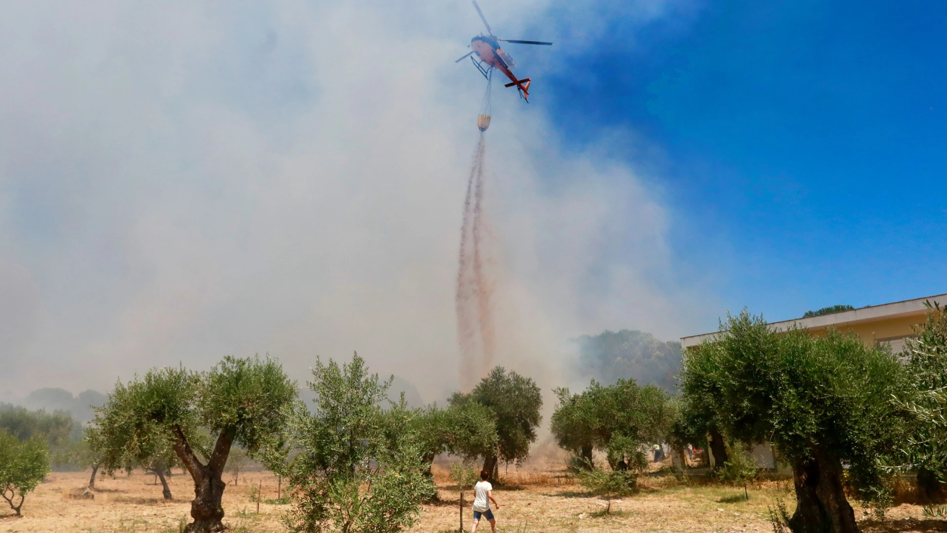 Autarca solicita reforço de meios aéreos para incêndio no Gerês