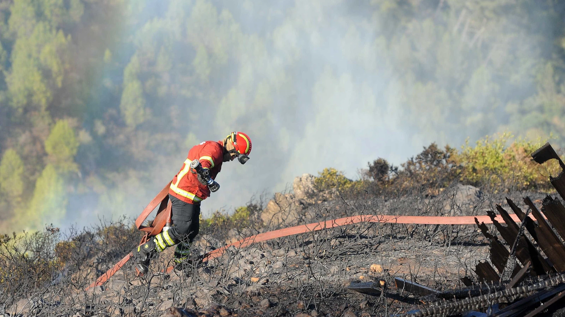 Incêndio no Parque Nacional da Peneda-Gerês: Autarca de Ponte da Barca aguarda reforço aéreo