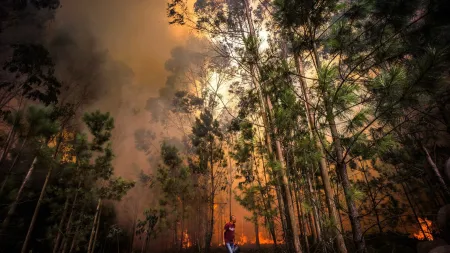 Incêndios em Ponte da Barca, Penamacor e Arouca colocam vidas em risco
