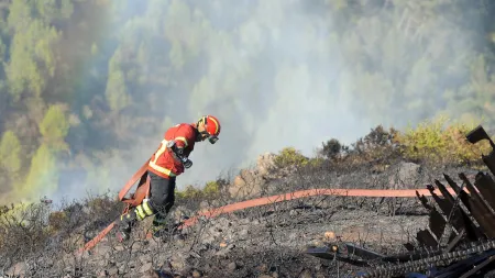 Incêndio no Parque Nacional da Peneda-Gerês: Autarca de Ponte da Barca aguarda reforço aéreo