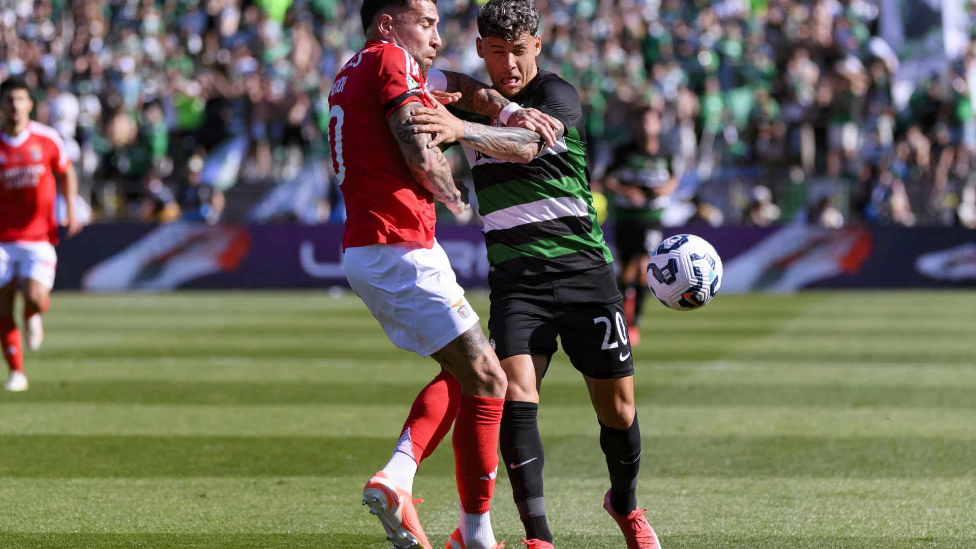 Supertaça: Maxi Araújo pode ser reforço crucial para o Sporting