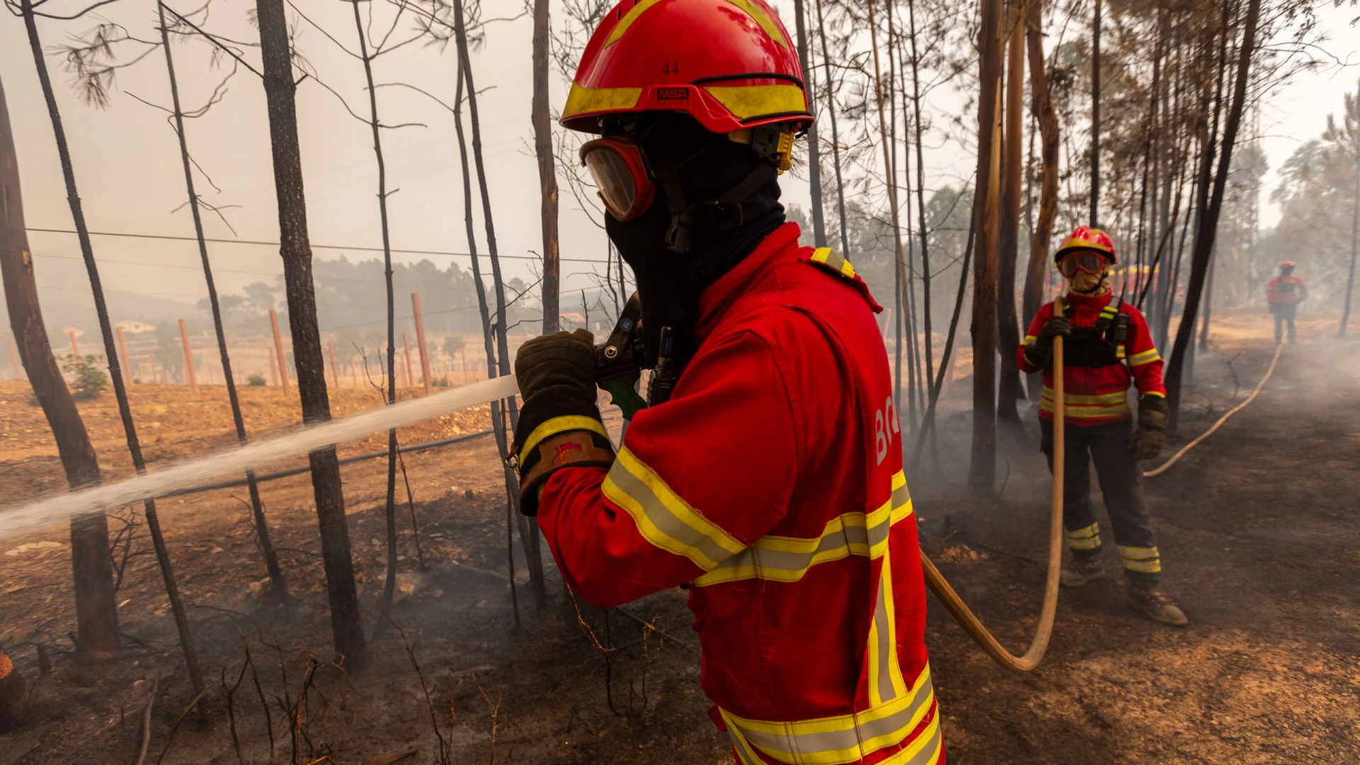 Incêndio em Penafiel e Gondomar apresenta uma frente ativa, mas está sob controle