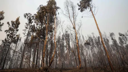 Incêndio no Peneda-Gerês leva a acionamento de helicópteros para transporte de bombeiros