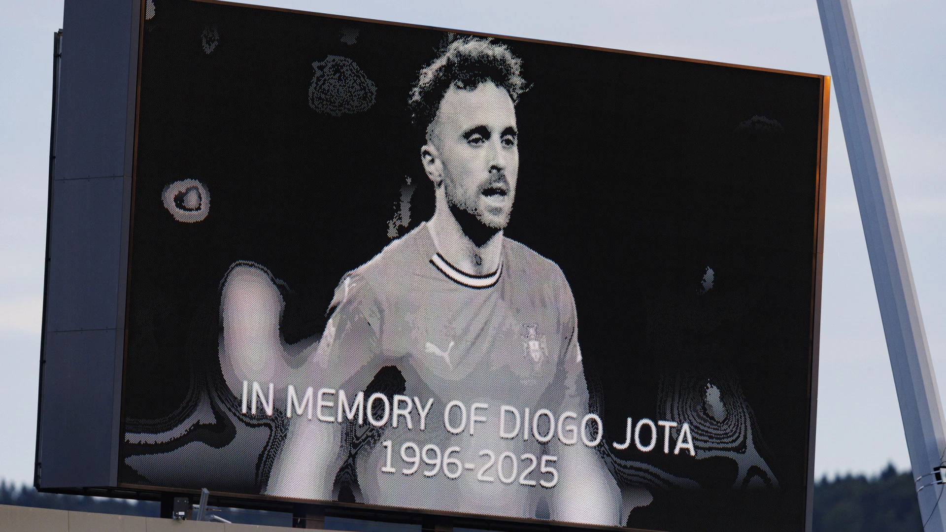Vítor Pereira reflete sobre Diogo Jota e fase no Wolverhampton