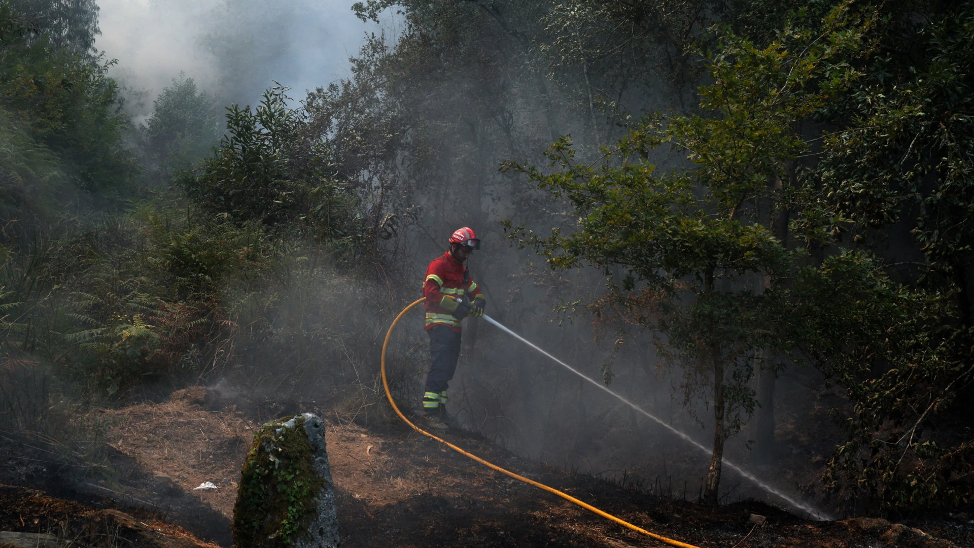 Incêndios em Portugal: 1.880 operacionais combatem 44 focos de chama