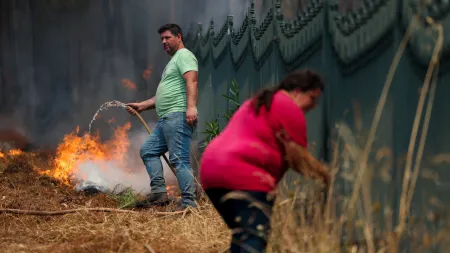 Resgate de Animais Durante os Incêndios em Portugal
